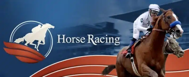 RCB988 offers a wide range of betting games to both local and international players